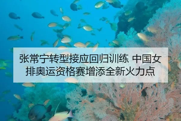 张常宁转型接应回归训练 中国女排奥运资格赛增添全新火力点